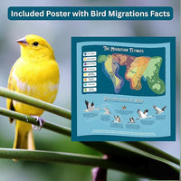 Bird Lover's 1000-Piece Jigsaw Puzzle