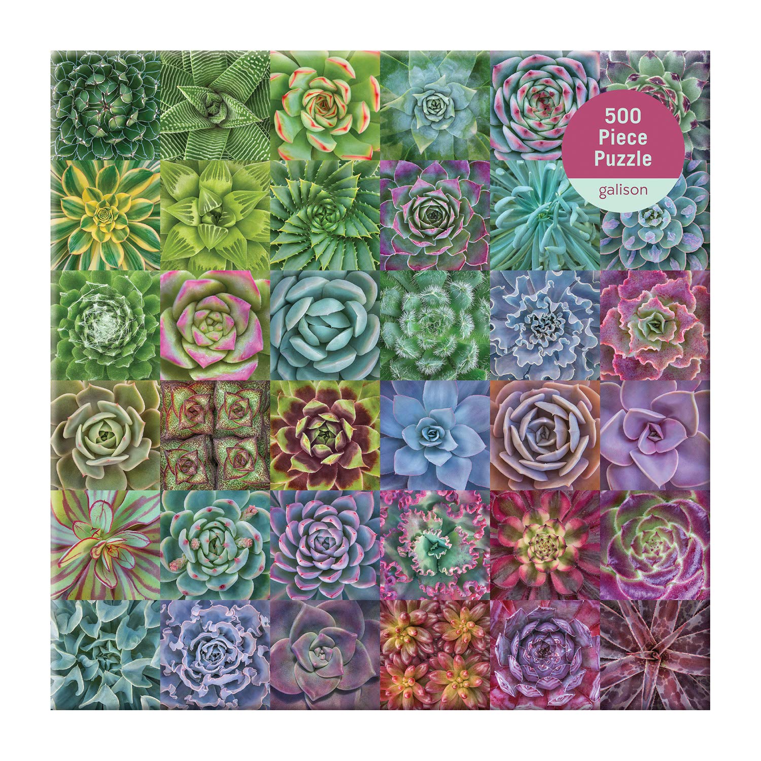Succulent Spectrum 500 Piece Puzzle