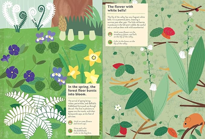 In the Forest: My Nature Sticker Activity Book: 1 (My Nature Sticker Activity Books)