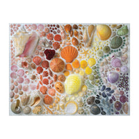 Rainbow Shells 2000 Piece Puzzle