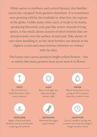 Pocket Plantcare: A handy guide to raising 50 of your best-loved indoor plants