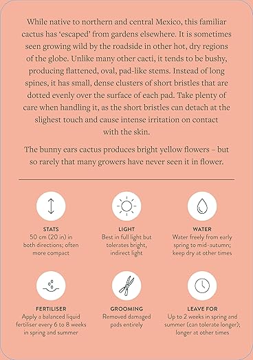 Pocket Plantcare: A handy guide to raising 50 of your best-loved indoor plants