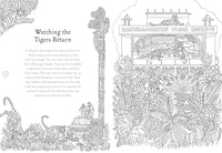 Return of the Wild Colouring Book