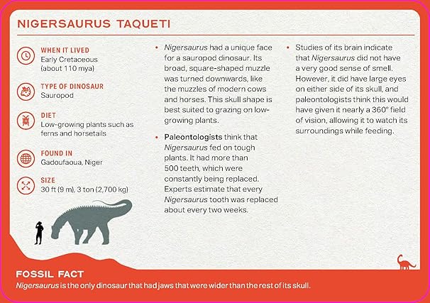 The Dinosaur Deck: 52 of the most fascinating dinosaurs and other prehistoric reptiles