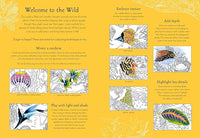 Return of the Wild Colouring Book