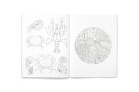 Leila Duly's Beautiful Planet: An Intricate Colouring Book
