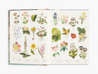 The Secret Language of Plants: Art, Nature & Symbolism