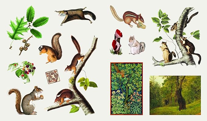 The Sticker Treasury of Woodland Adventures