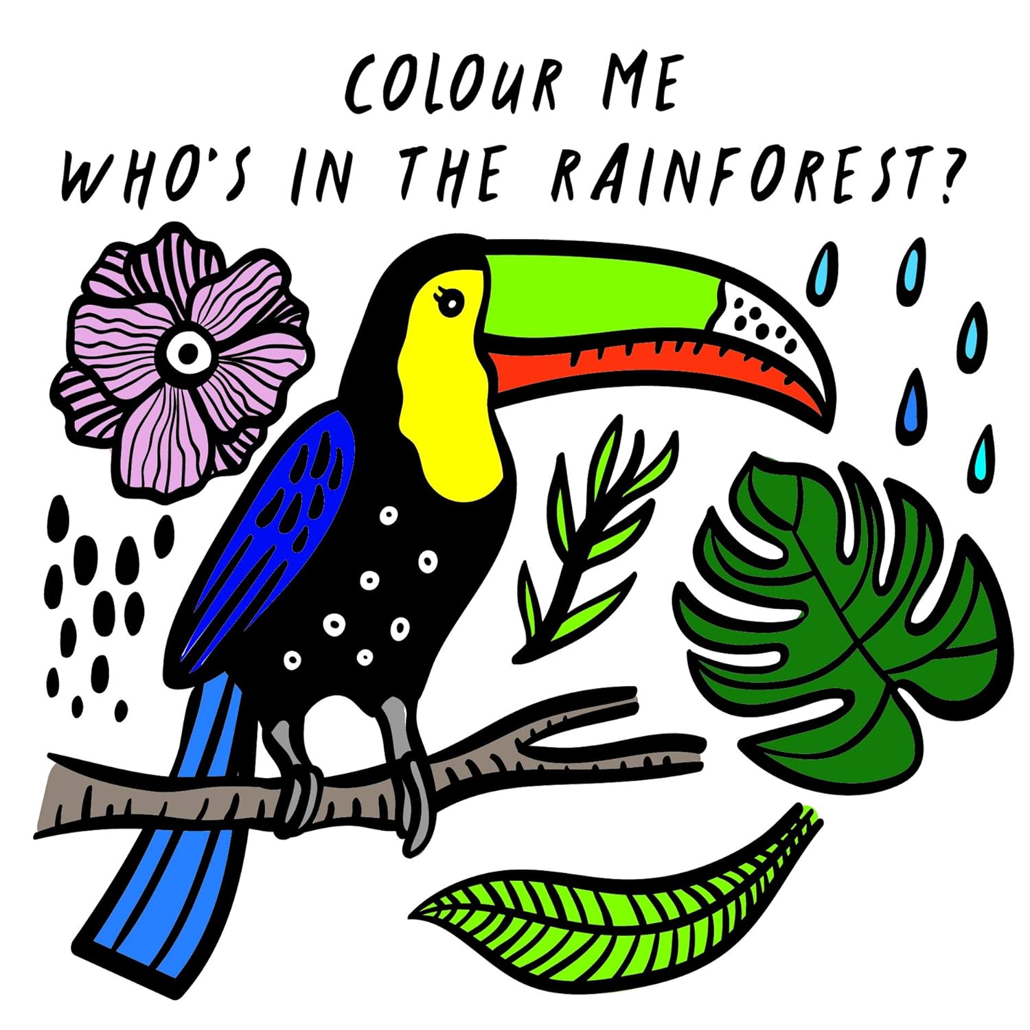 Colour Me - Who´s in the rainforest? Bath book