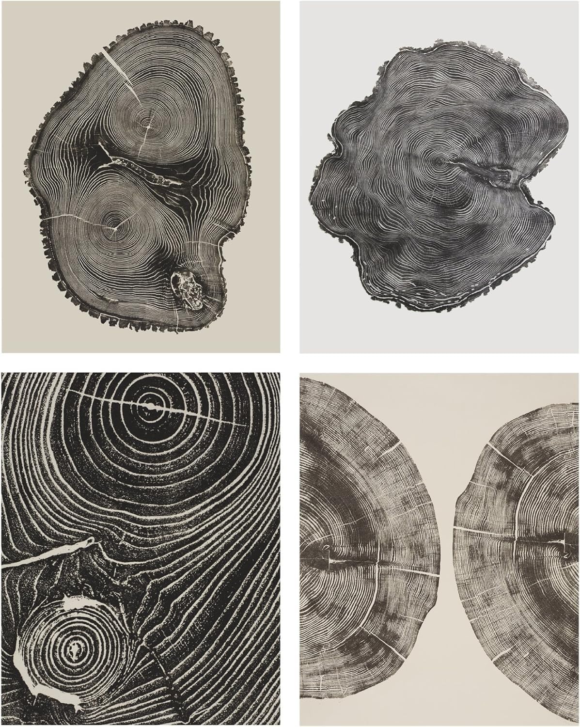 Woodcut Notecards: Notecards in box