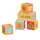 Baby Milestone Blocks Photo Props for Months, Weeks, Years