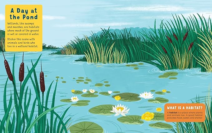 Backpack Explorer Stickers: Nature Adventure: 300 Stickers plus Play & Learn Activities