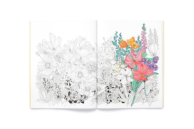 Leila Duly's Beautiful Planet: An Intricate Colouring Book