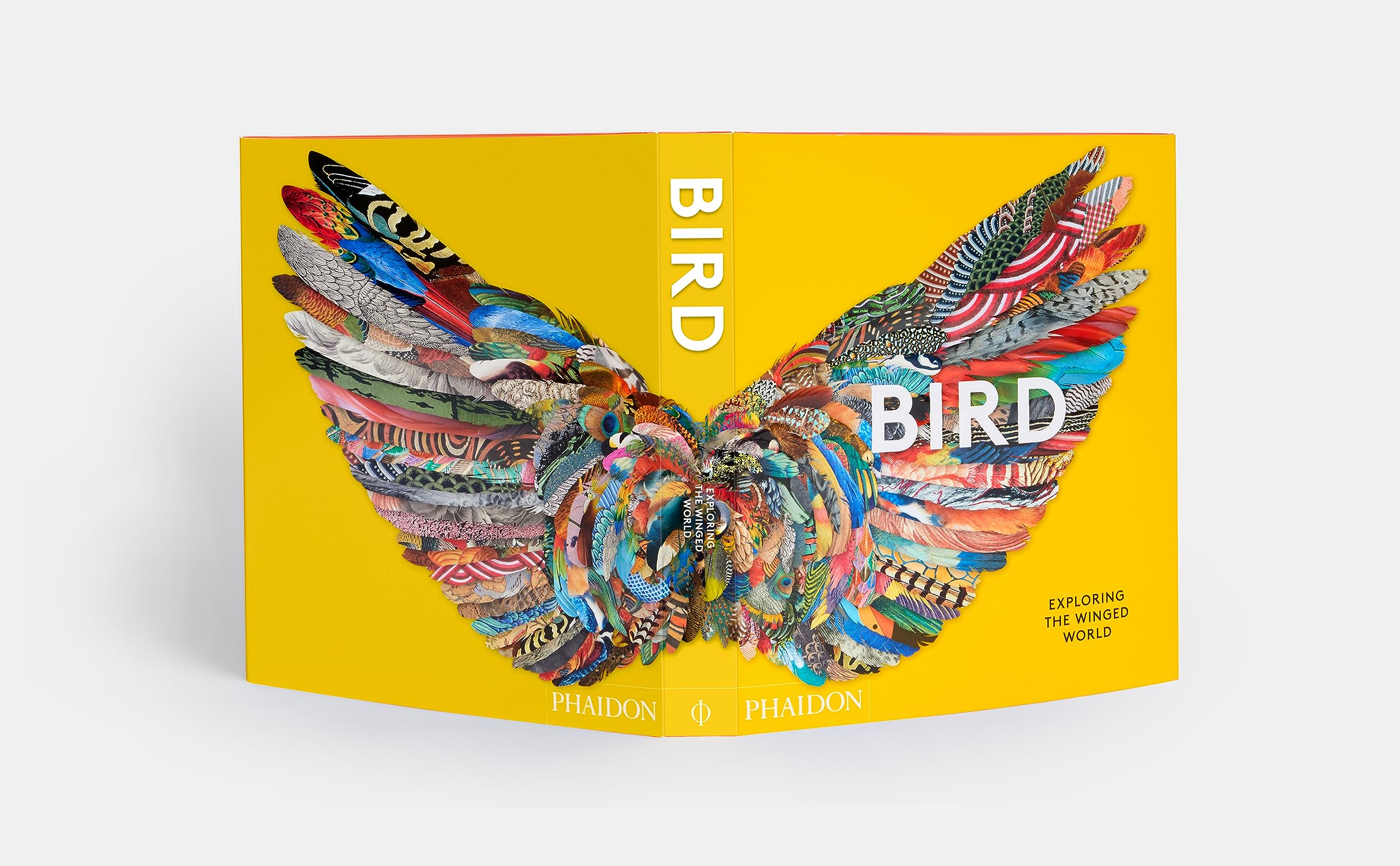 Bird: Exploring the Winged World