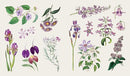 The Sticker Treasury of Blooms and Butterflies