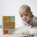 Baby Milestone Blocks Photo Props for Months, Weeks, Years