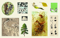 The Sticker Treasury of Woodland Adventures