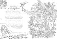 Return of the Wild Colouring Book