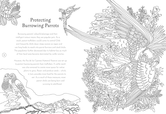 Return of the Wild Colouring Book