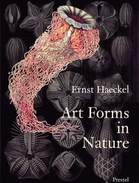 Art Forms in Nature: Prints of Ernst Haeckel