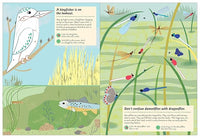 Streams and Ponds: My Nature Sticker Activity Book: 1