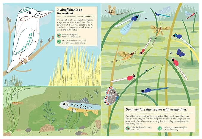Streams and Ponds: My Nature Sticker Activity Book: 1
