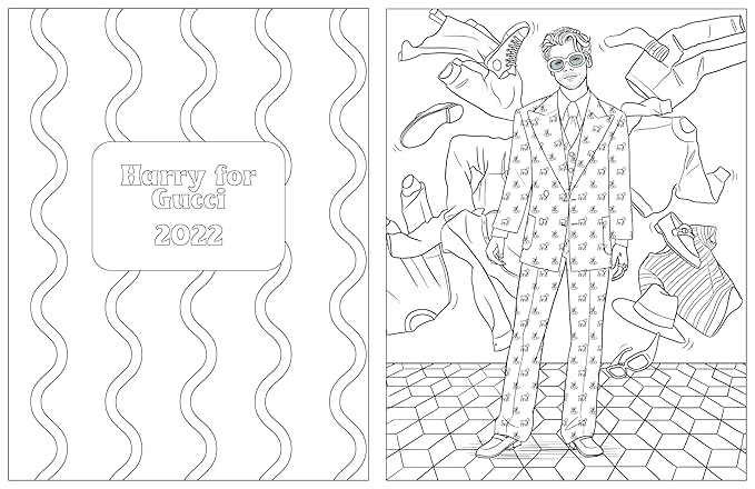 Colour In Harry: A Unofficial Harry Styles Colouring and Sticker Book