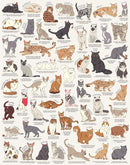 Ridley's Games JIG055 Cat Lover's 1000 Piece Jigsaw Puzzle, Multicoloured