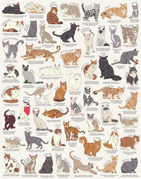 Ridley's Games JIG055 Cat Lover's 1000 Piece Jigsaw Puzzle, Multicoloured