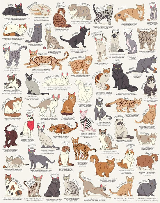 Ridley's Games JIG055 Cat Lover's 1000 Piece Jigsaw Puzzle, Multicoloured