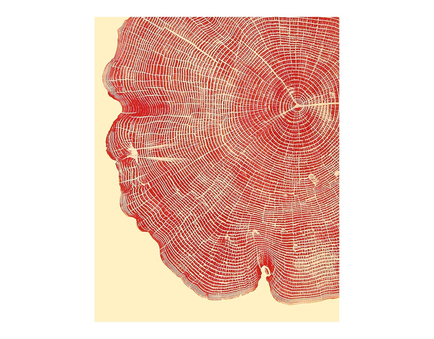 Woodcut Notecards: Notecards in box