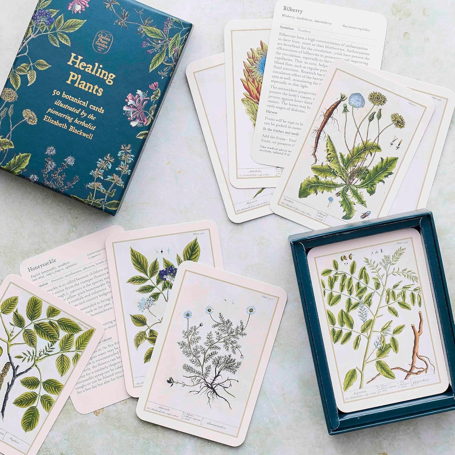 Healing Plants: 50 botanical cards illustrated by the pioneering herbalist Elizabeth Blackwell