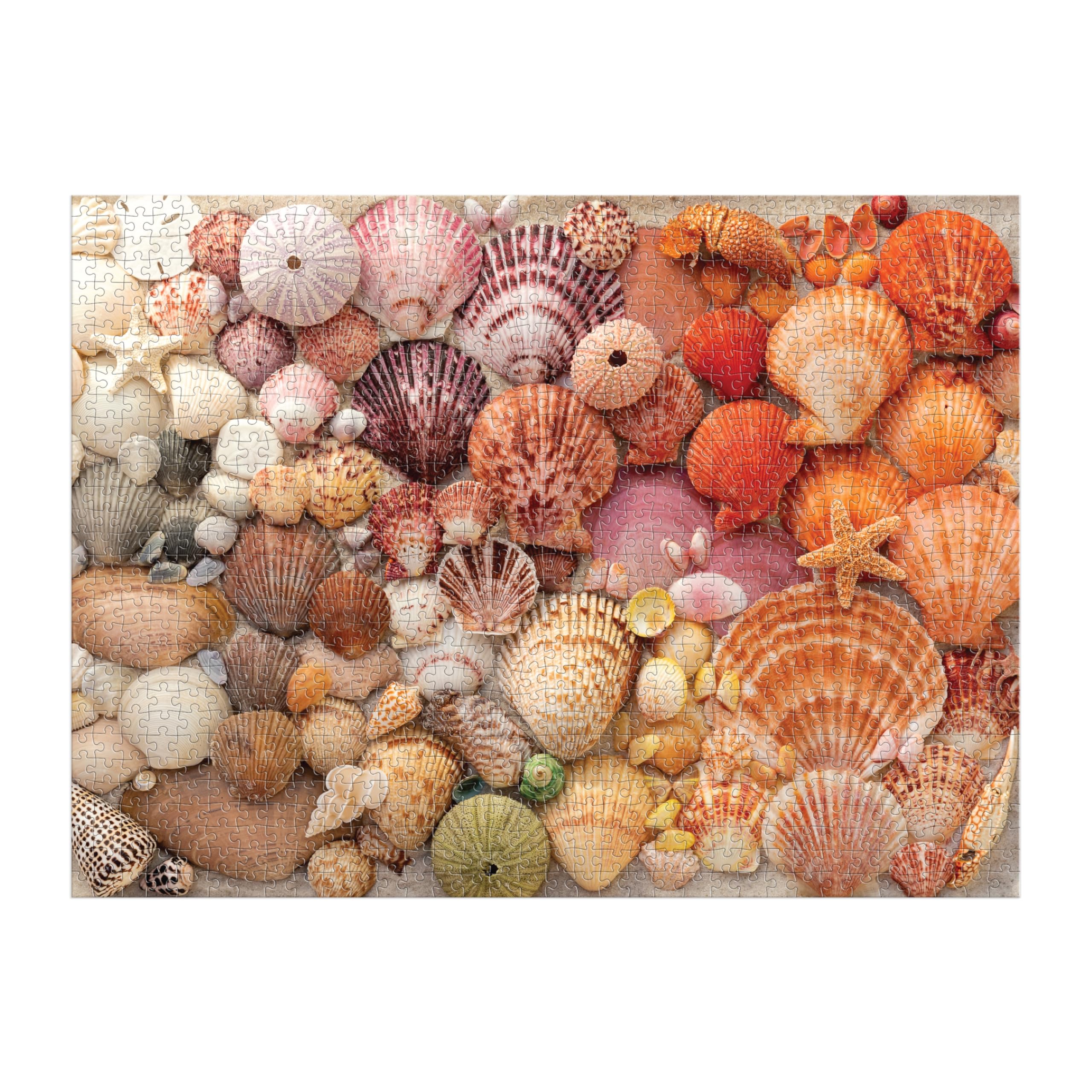 Vibrant Seashells 1000 Piece Puzzle