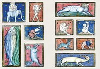 Crazy Medieval Dudes: A Little Sticker Book
