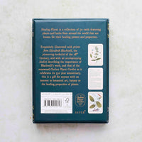 Healing Plants: 50 botanical cards illustrated by the pioneering herbalist Elizabeth Blackwell
