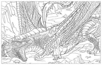 Harry Potter: Magical Creatures Coloring Book