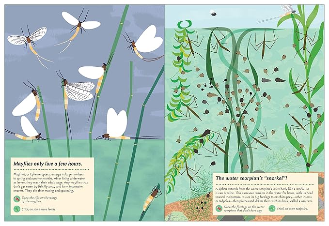 Streams and Ponds: My Nature Sticker Activity Book: 1