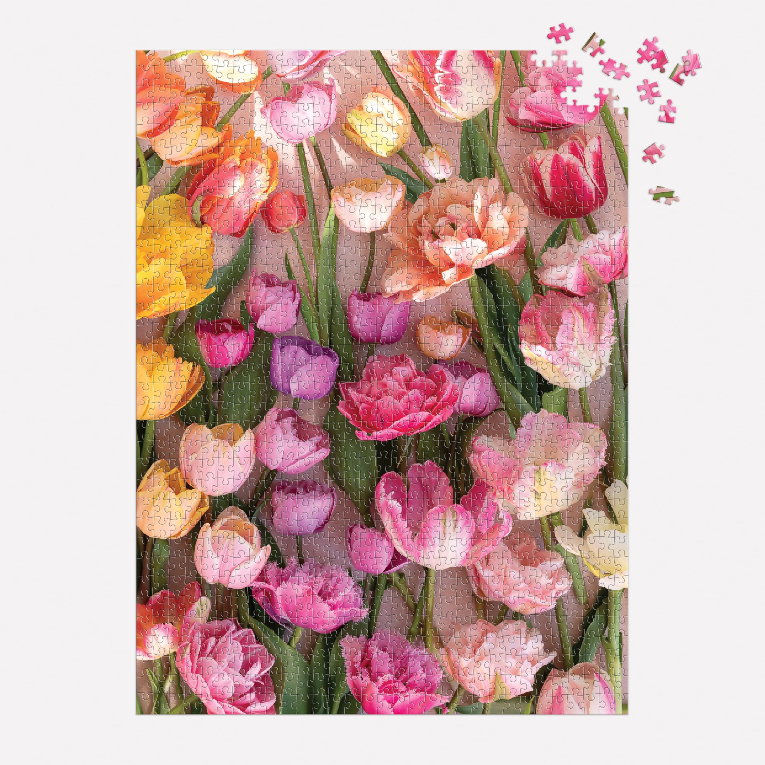 Ephemeral Tulips– 1000 Piece Jigsaw Puzzle