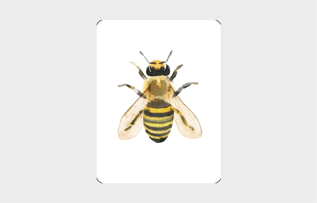 You Callin' Me a Cheetah? (Psst! I'm a Leopard!)