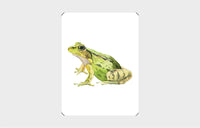 You Callin' Me a Cheetah? (Psst! I'm a Leopard!)