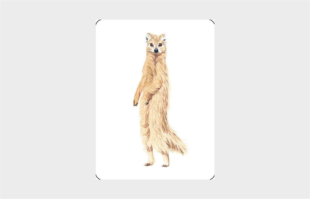 You Callin' Me a Cheetah? (Psst! I'm a Leopard!)