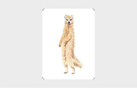 You Callin' Me a Cheetah? (Psst! I'm a Leopard!)