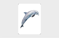 You Callin' Me a Cheetah? (Psst! I'm a Leopard!)