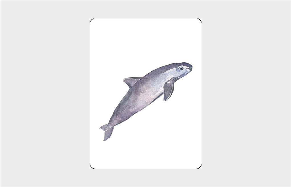 You Callin' Me a Cheetah? (Psst! I'm a Leopard!)