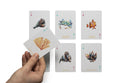 Ocean Playing Cards