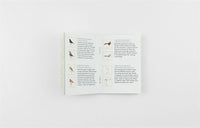 Match a Pair of Birds