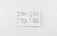 Match a Pair of Birds