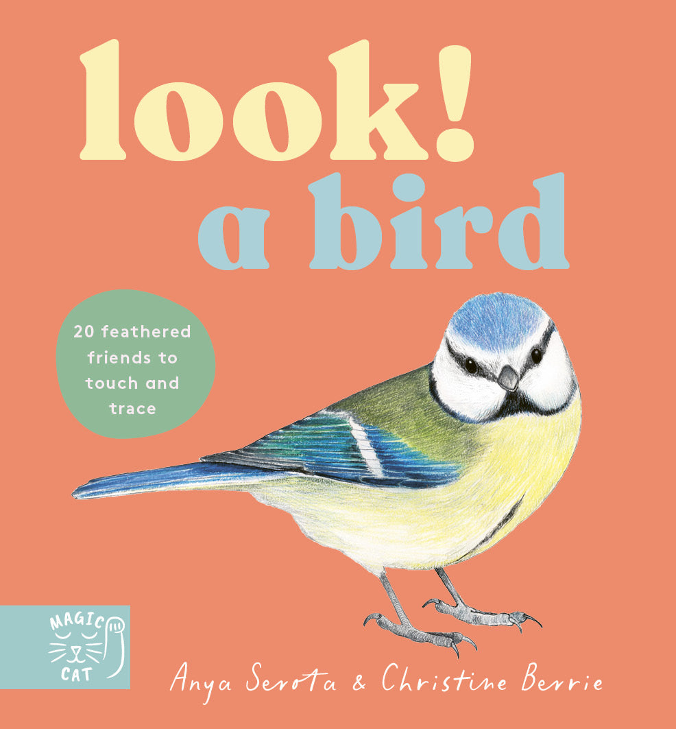 Look! A Bird!
