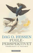 Fugleperspektivet
