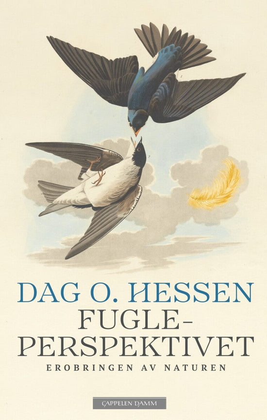 Fugleperspektivet